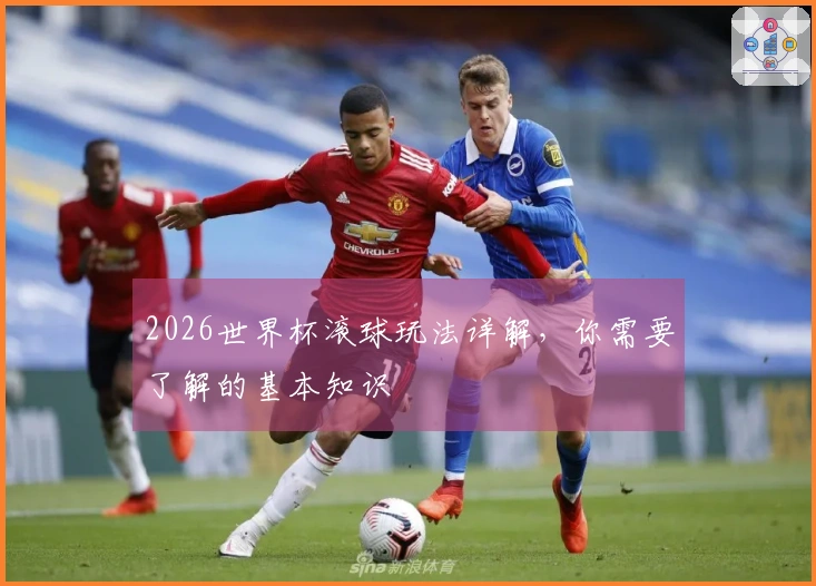 2026世界杯滚球玩法详解，你需要了解的基本知识