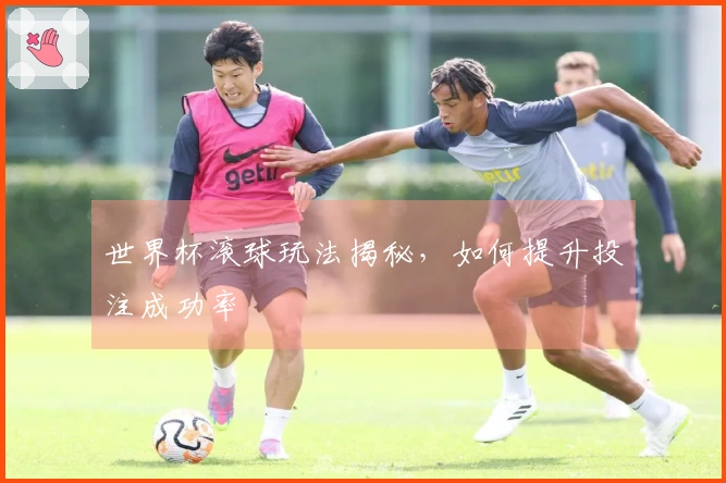 世界杯滚球玩法揭秘，如何提升投注成功率