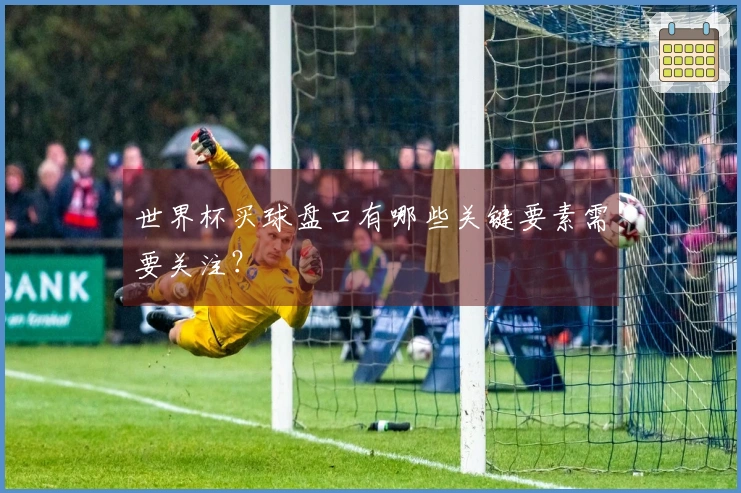 世界杯买球盘口有哪些关键要素需要关注？