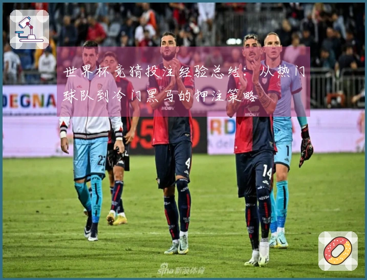 世界杯竞猜投注经验总结：从热门球队到冷门黑马的押注策略