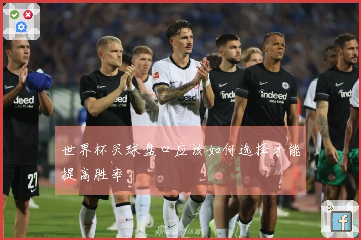 世界杯买球盘口应该如何选择才能提高胜率