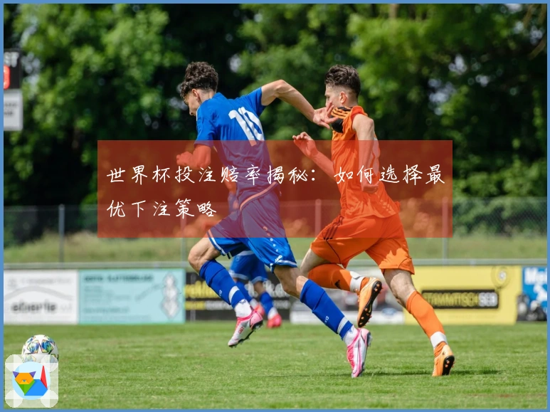 世界杯投注赔率揭秘：如何选择最优下注策略