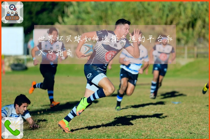 世界杯买球如何选择合适的平台和入口指南