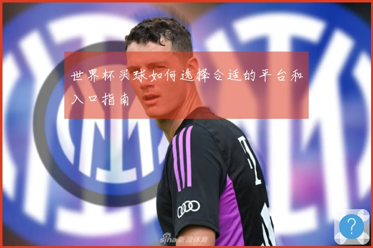 世界杯买球如何选择合适的平台和入口指南