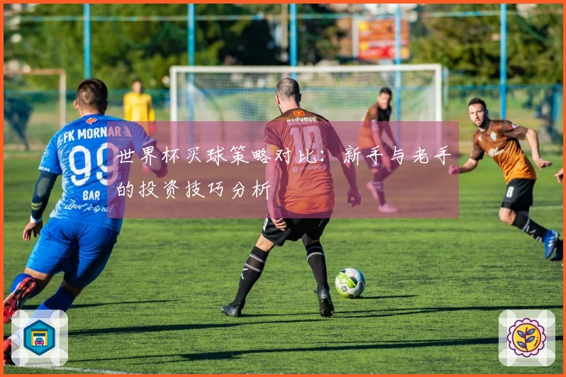 世界杯买球策略对比：新手与老手的投资技巧分析