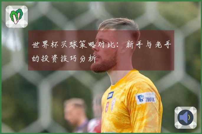 世界杯买球策略对比：新手与老手的投资技巧分析