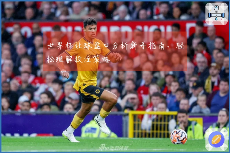 世界杯让球盘口分析新手指南，轻松理解投注策略