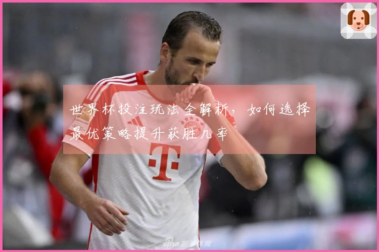 世界杯投注玩法全解析，如何选择最优策略提升获胜几率