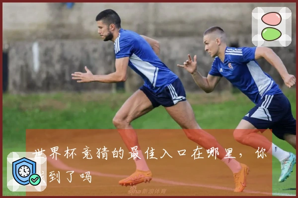 世界杯竞猜的最佳入口在哪里，你找到了吗