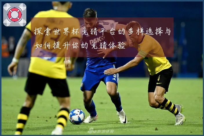 探索世界杯竞猜平台的多样选择与如何提升你的竞猜体验