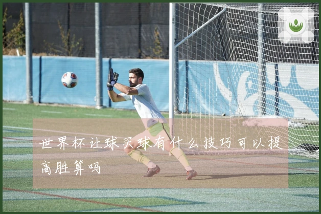 世界杯让球买球有什么技巧可以提高胜算吗